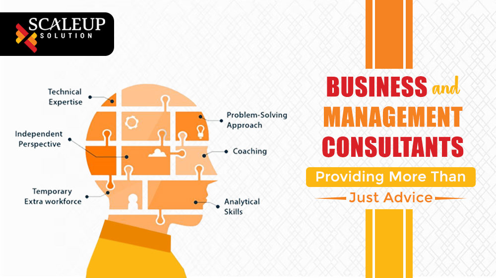 Business and Management Consultants